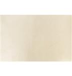 Ivoorkleurige Tafelkleed Glossy 3m