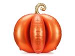 Pompoen Ballon Oranje Leeg 90cm
