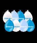 Oktoberfest Ballonnen 30cm 8st