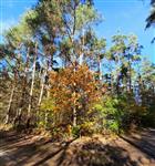 TE KOOP RECREATIEGROND