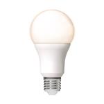 LED lamp E27 warmwit 2700K - 13W 1521 lumen - A60 mat opaal