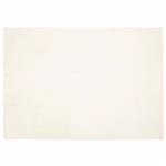 vidaXL Nep Konijnenbont Tapijt Wit 140 x 200 cm Polyester