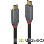 Lindy 36903 USB 3.2 Gen 2x2 20Gbps 100W USB Type-C 2m