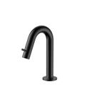 Fonteinkraan BWS Sensa Gebogen Geborsteld Zwart PVD