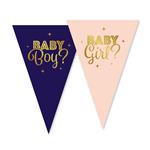 Gender Reveal Slinger Blauw Roze 10m