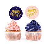 Gender Reveal Cocktailprikkers Blauw Roze 12st