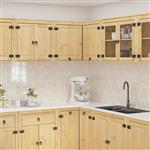 vidaXL Kast met plank Honing 80 x 80 x 60 cm Massief grenenhout