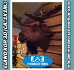 verhuur eland rendier den haag breda