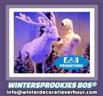 verhuur wintersprookje setting  brussel luik