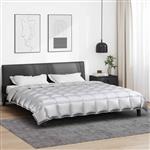 vidaXL Winter Dekbed Zilver 200 x 220 cm Satijn en Microfiber