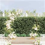 vidaXL Trouwrand Goud 220 x 45 x 200 cm Staal