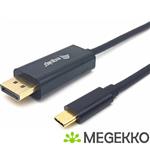 Equip 133427 video kabel adapter 2 m USB Type-C DisplayPort Grijs