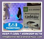 verhuur frozen ijstroon ijskasteel luik