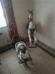 2x houren carousel  paarden en 1x metaal  paard