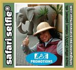 safari props huren brabant eindhoven olifant huren