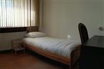 Kamer Paardebloem in Rotterdam