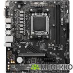 MSI PRO A620M-B
