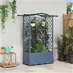 vidaXL Verhoogd Bed met Trellis en Dak Grijs 122 x 40 x 138 cm PP