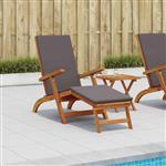 vidaXL Ligstoelkentingen en opvouwbare zonnebader 55 x 146 x 91 cm