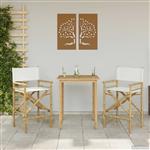 vidaXL Vouwbare Regisseursstoel 2 pcs Naturel 58 x 48 x 115 cm Bamboe