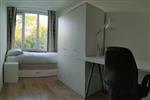 Kamer Paardebloem in Rotterdam