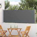 vidaXL Uittrekbaar Zijscherm Antracietkleurig 300 x 100 cm Polyester