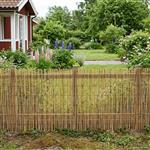 vidaXL Tuinhek Geë carboniseerd 400 x 100 cm Riet