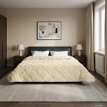vidaXL Winter Dekbed Crème 200 x 220 cm Microfiber en Teddy fleece