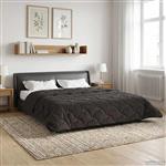 vidaXL Zomer Dekbed Antraciet 200 x 200 cm Microfiber en Teddy fleece