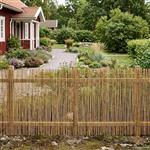 vidaXL Tuinhek Geë carboniseerd 1000 x 80 cm Riet