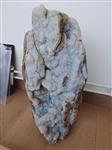 Botryoidale chalcedoon op versteend hout