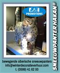 huur winterwonderland props  leuven  genk