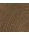 Vloertegel vtwonen Woodcirkle Wenge 10x10 cm 9.5mm Mat R10 (Doosinhoud 0.68 m2)-0.68m2