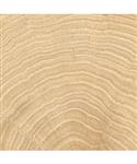 Vloertegel vtwonen Woodcirkle Oak 10x10 cm 9.5mm Mat R10 (Doosinhoud 0.68 m2)-0.68m2