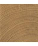 Vloertegel vtwonen Woodcirkle Walnutt 10x10 cm 9.5mm Mat R10 (Doosinhoud 0.68 m2)-0.68m2