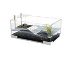 Schildpaddenbak Ciano Tartarium 40