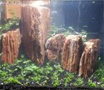 The Myanmar Petrified 10-20cm - aquarium decoratie stenen