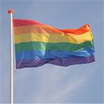 Regenboog LGBTQ vlag gay pride LGBT rainbow flag vlaggen XL
