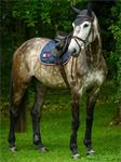 TH Performance Saddle Pad Macro Maxx 