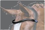 Browband U-Shape 