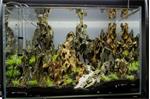 Dragon stone 30-50cm - aquarium decoratie stenen