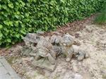 3 tuinbeelden
