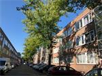 Te huur: appartement in Rotterdam