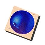 Behäppi - Hatchel Hard (houten puzzel) - Neptunus
