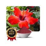 Quality Hibiscus Powder for Hair