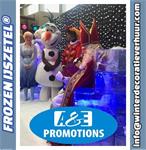 elsa ijstroon frozen decoratie brasschaat verhuur