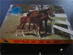 Vintage Junior King Jigsaw Puzzel met Paarden