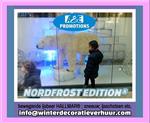 hasselt gent vitrine figuren kerst verhuur ijsbeer