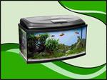 Classic box 100 panorama aquarium