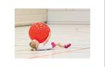 Gymnastiekbal